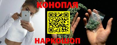 шишки Долгопрудный