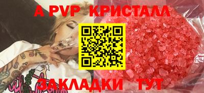 шишки Долгопрудный
