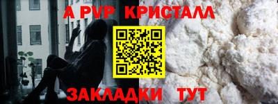 шишки Долгопрудный