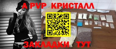 шишки Долгопрудный