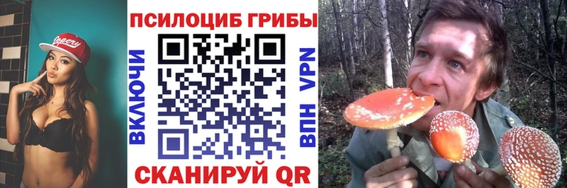 Псилоцибиновые грибы мицелий  сколько стоит  Киреевск 