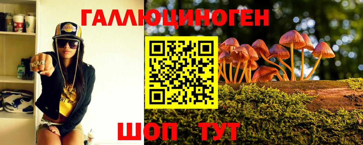 Киреевск  Галлюциногенные грибы Psilocybe  купить наркотик  Вход с VPN 