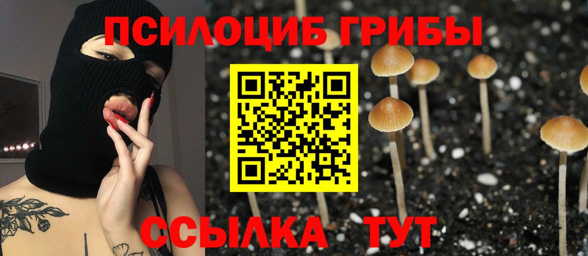 Псилоцибиновые грибы Magic Shrooms Киреевск